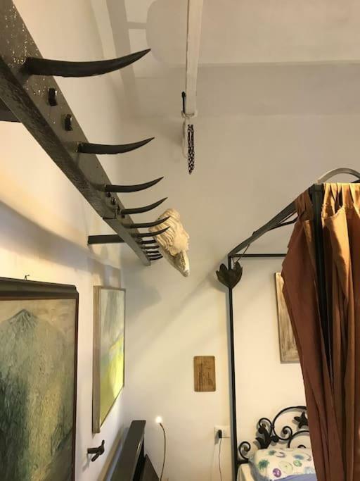 Apartamento The Butcher-Ducati And Airport Blq Bolonia Exterior foto